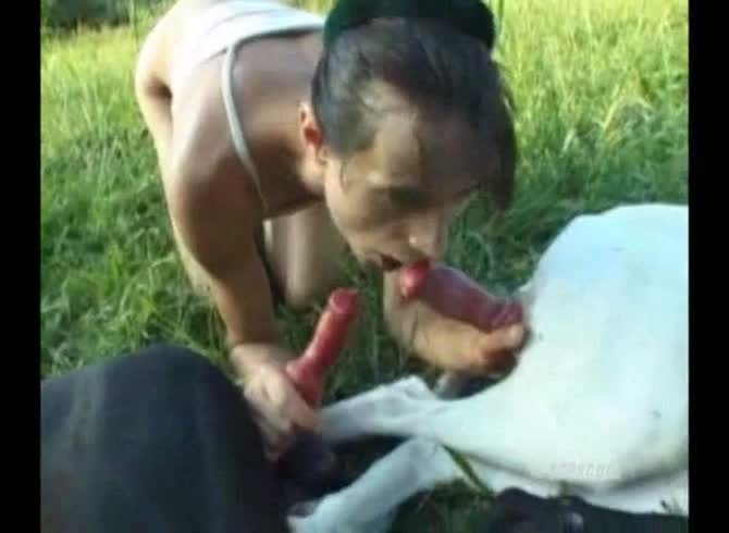 Video :Outdoor dog sex of lady sucking two dog dicks and have dog sex